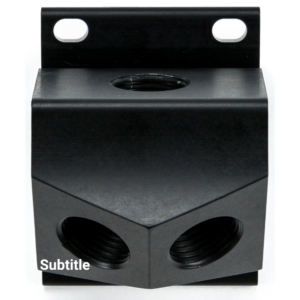 Double Port Manifold