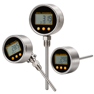 Digital Thermometer